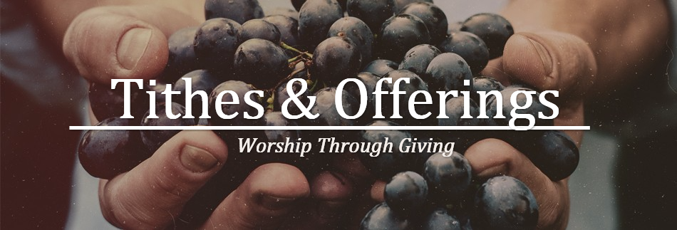 The Fruit of the Spirit Religious Website Banner
